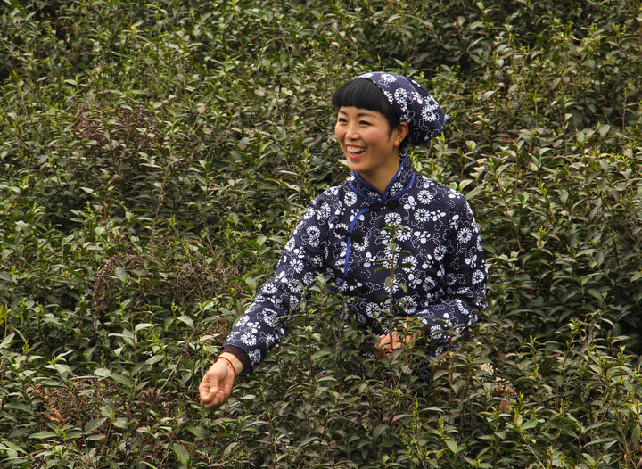 子弹与蕾丝